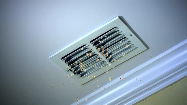 Best Local Air Duct Cleaning Services  in Lake Arbor, MD