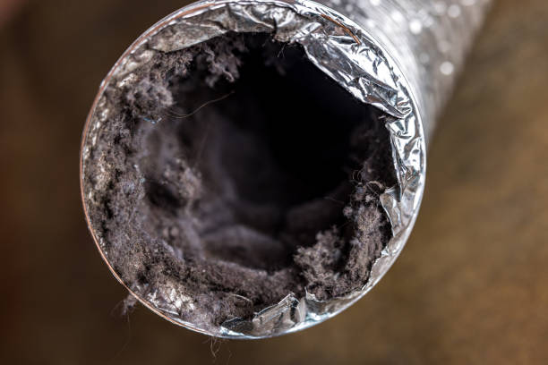 Best Air Duct Cleaning Near Me  in Lake Arbor, MD